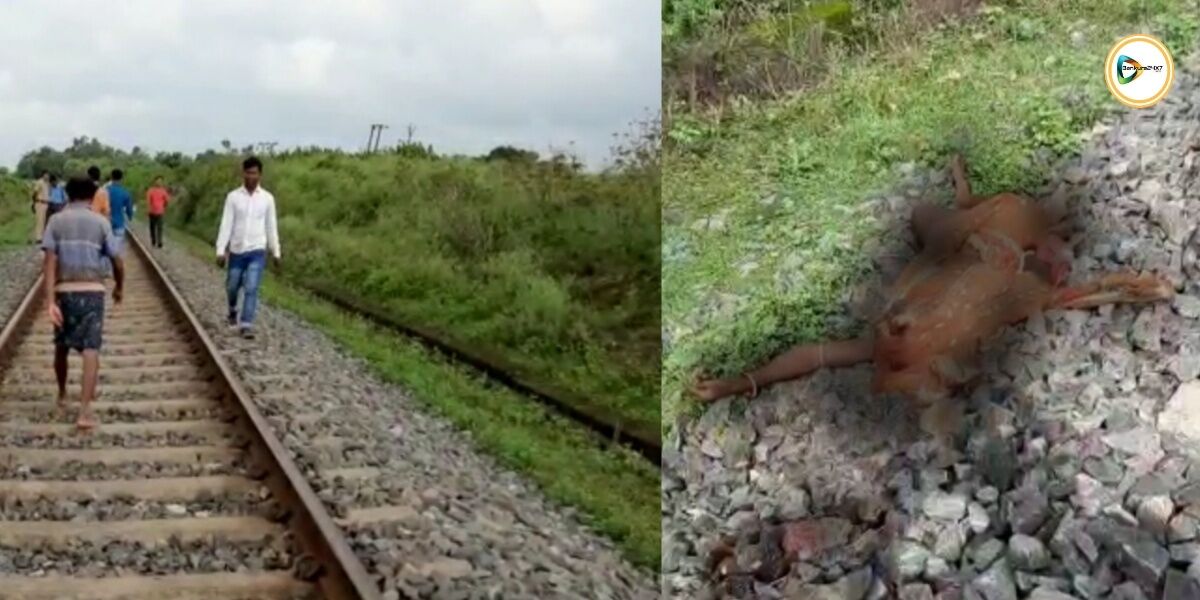 পাত্রসায়রে বিডিআর লাইনে ঝাঁপ দিয়ে আত্মঘাতী এক মানসিক ভারসাম্যহীন মহিলা।